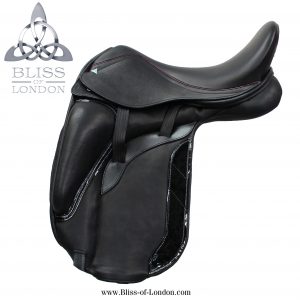 Bliss Paramour Dressage