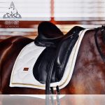 7-Bliss-Paramour-Dressahe-Lifestyle-shot-2019-website-Paramour-on-horse